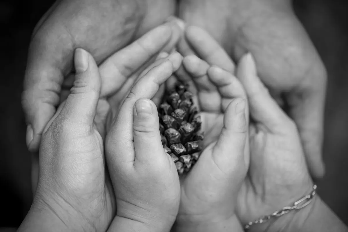 Ședință Foto Familie & Copii Brașov | Studio & Natură - foto Găvenea